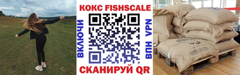 Cocaine Fish Scale  Купить где  Суздаль 