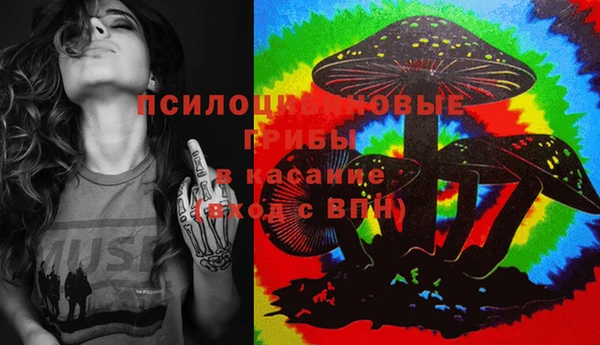 тгк Кодинск