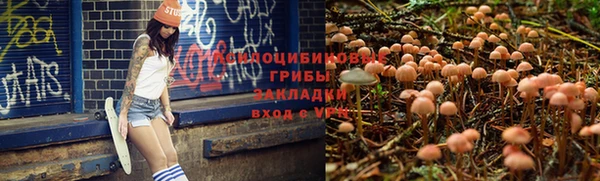 тгк Кодинск